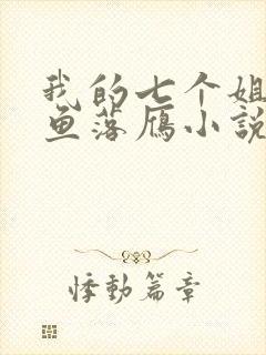 我的七个姐姐沉鱼落雁小说免费