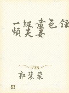 一级黄色录像视频夫妻