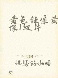 黄色录像黄色录像1级片