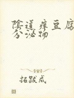 阴道痒豆腐渣样分泌物