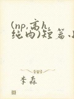 (np,高h,纯肉)短篇小说