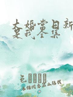 大婚当日新娘不是我全集