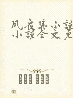 夙夜集小说原著小说全文免费阅读无弹窗