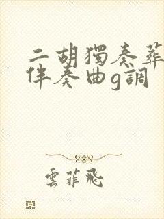 二胡独奏葬花吟伴奏曲g调