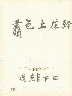 黄色上床干逼视频