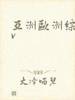 亚洲欧洲综合av