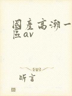 国产高潮一区二区av