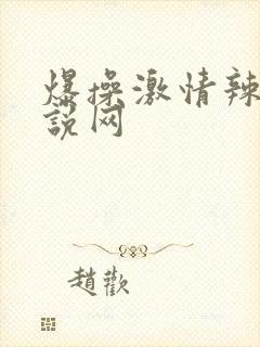 爆操激情辣文小说网