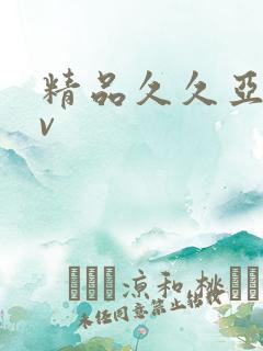 精品久久亚洲av