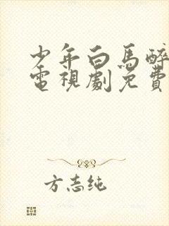 少年白马醉春风电视剧免费观看网