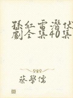 孙红雷潜伏电视剧全集40集免费