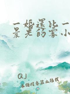 一婚还比一婚高晨光的雾小说