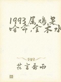 1993属鸡是啥命,金木水火土哪个?