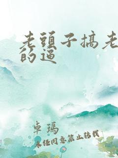 老头子搞老太太的逼