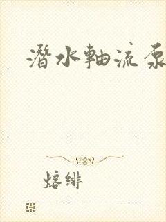 潜水轴流泵厂商