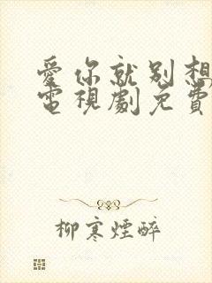 爱你就别想太多电视剧免费观看全集