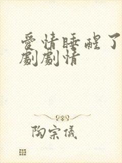 爱情睡醒了电视剧剧情