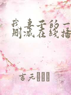 我妻子的一切未删减在线播放