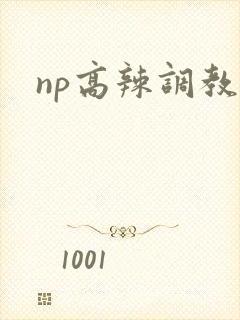 np高辣调教文