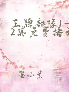 王牌部队1—42集免费播放