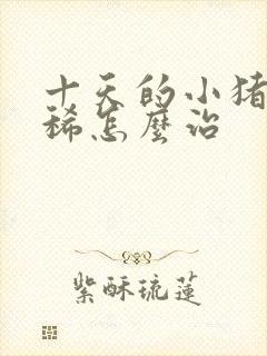 十天的小猪仔拉稀怎么治