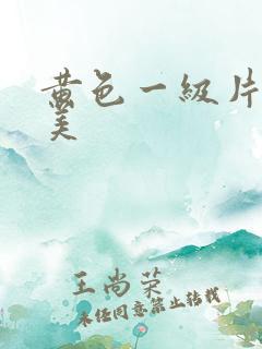 黄色一级片日韩美