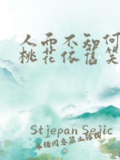 人面不知何去处桃花依旧笑春风