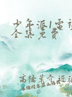 少年派1电视剧全集免费