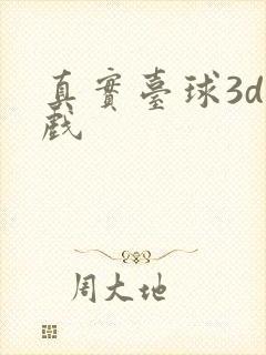 真实台球3d游戏