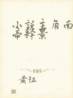 小说主角南知意帝释景