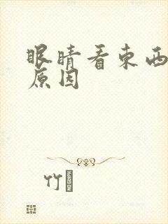 眼睛看东西双影原因