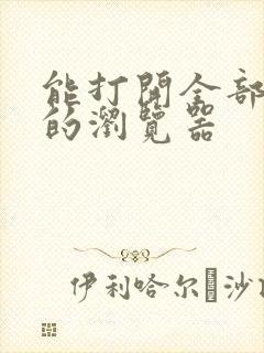 能打开全部网页的浏览器