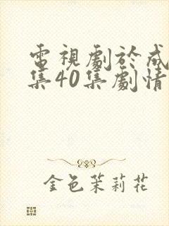 电视剧于成龙全集40集剧情