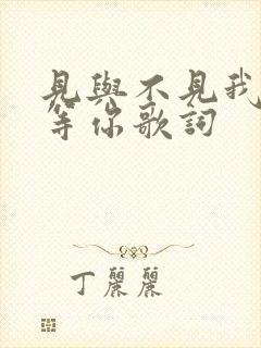 见与不见我都在等你歌词