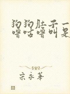 狗狗肚子一直咕噜咕噜叫是怎么了 还吐