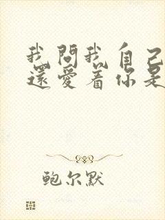 我问我自己是否还爱着你是什么歌