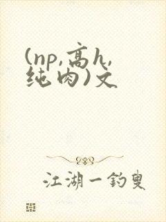 (np,高h,纯肉)文