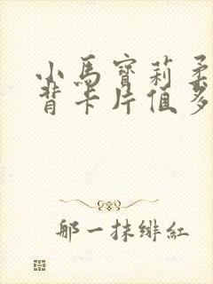 小马宝莉柔柔黑背卡片值多少钱