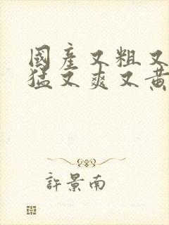 国产又粗又深又猛又爽又黄视频