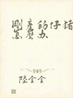 刚产的仔猪拉稀怎么办