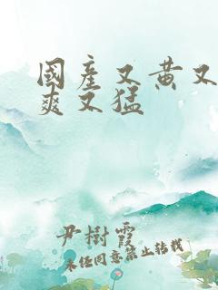 国产又黄又大又爽又猛