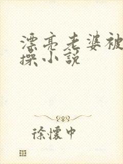 漂亮老婆被别人操小说