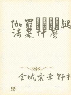 伽罗ちゃんが腿法是什么