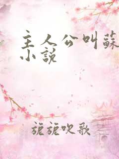 主人公叫苏城的小说