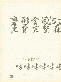 变形金刚5高清免费完整在线观看