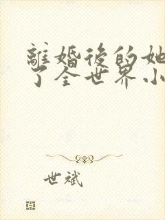 离婚后的她惊艳了全世界小说