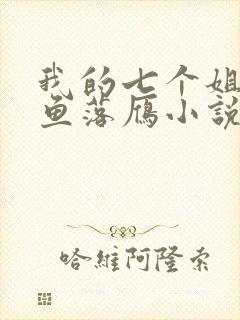 我的七个姐姐沉鱼落雁小说全部章节