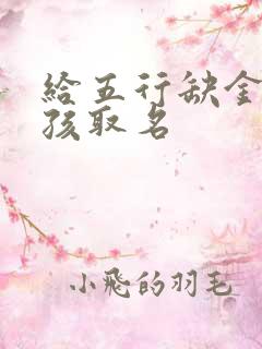 给五行缺金的男孩取名