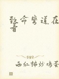 致命弯道在哪里看