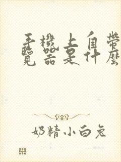 手机上自带的浏览器是什么浏览器